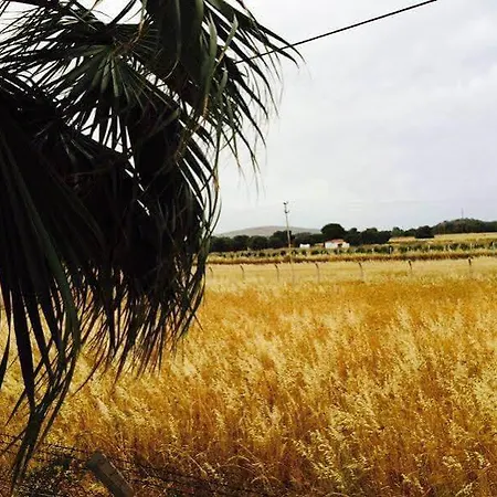 Bloom ホテル アラカティ